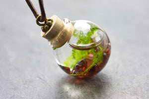 Seemoos Granat - echte Wasserpflanze - Lederband 1m - Borosilikatglas